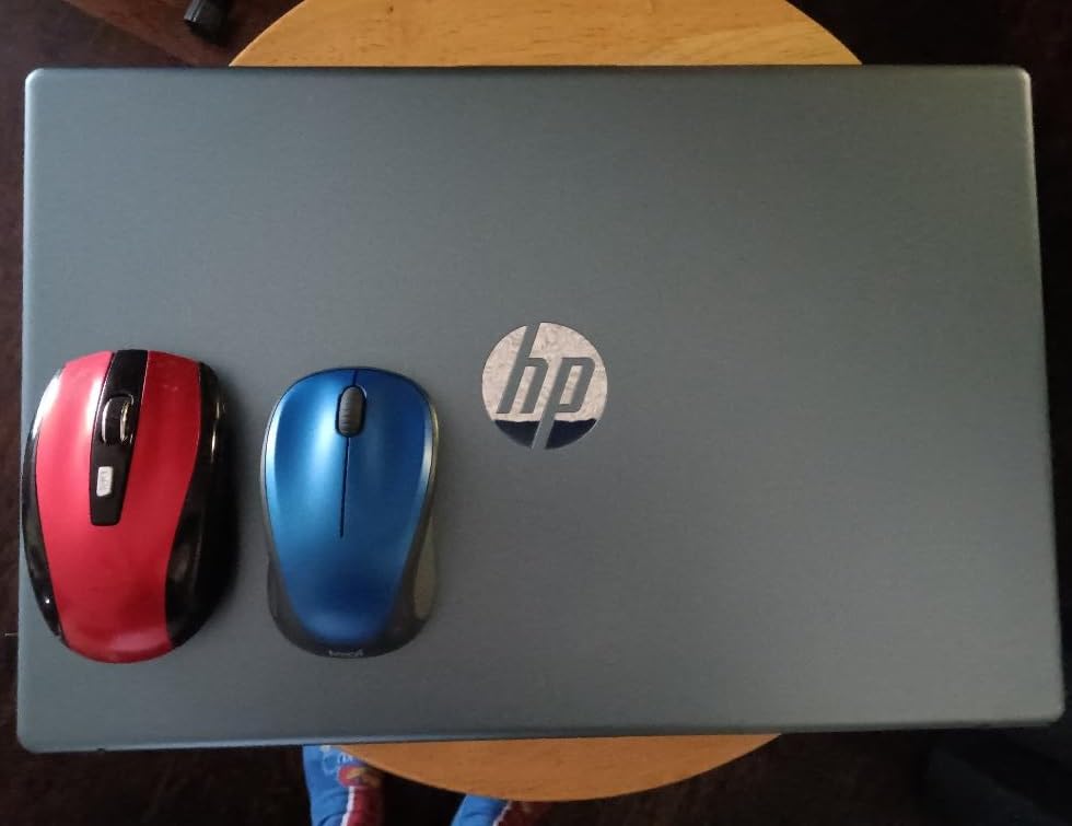 Logitech M317 Compact Ambidextrous 2.4 GHz Wireless Mouse - Blue customer photo 2