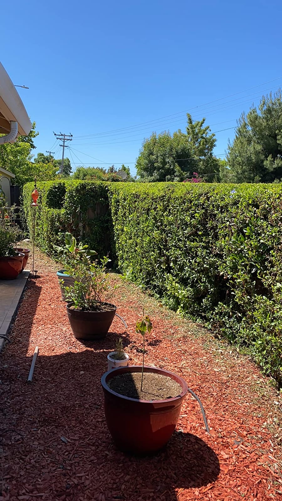 BLACK+DECKER 40V MAX* 24 in. cordless hedge trimmer with POWERDRIVE, Tool Only (LHT2436B) customer photo 2