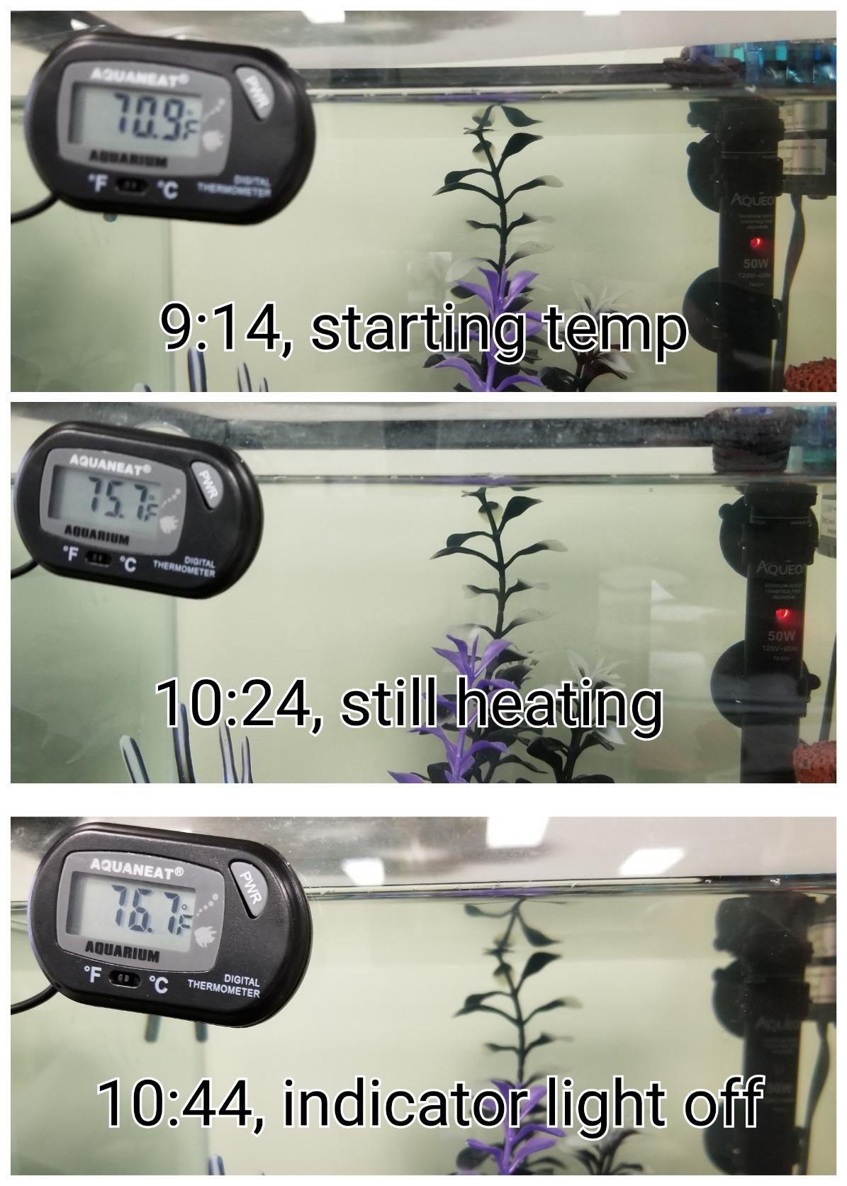 Aqueon Submersible Aquarium Heater, 50 Watts, Up to 20 Gallons | Adjustable 68-88 Degrees F with Auto Shut-Off for Freshwater and Saltwater Tanks customer photo 1