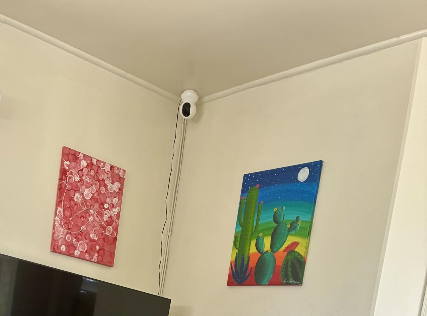 TP-Link Tapo Pan/Tilt Security Camera for Baby Monitor, Pet Camera w/Motion Detection, 1080P, 2-Way Audio, Night Vision, Cloud & SD Card Storage, Works with Alexa & Google Home (Tapo C200) customer photo 1