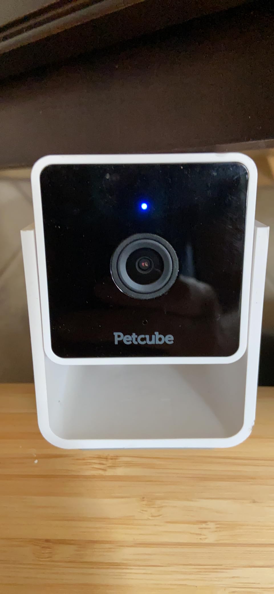 Petcube Cam – Indoor Wi-Fi Pet & Security Camera with App customer photo 1