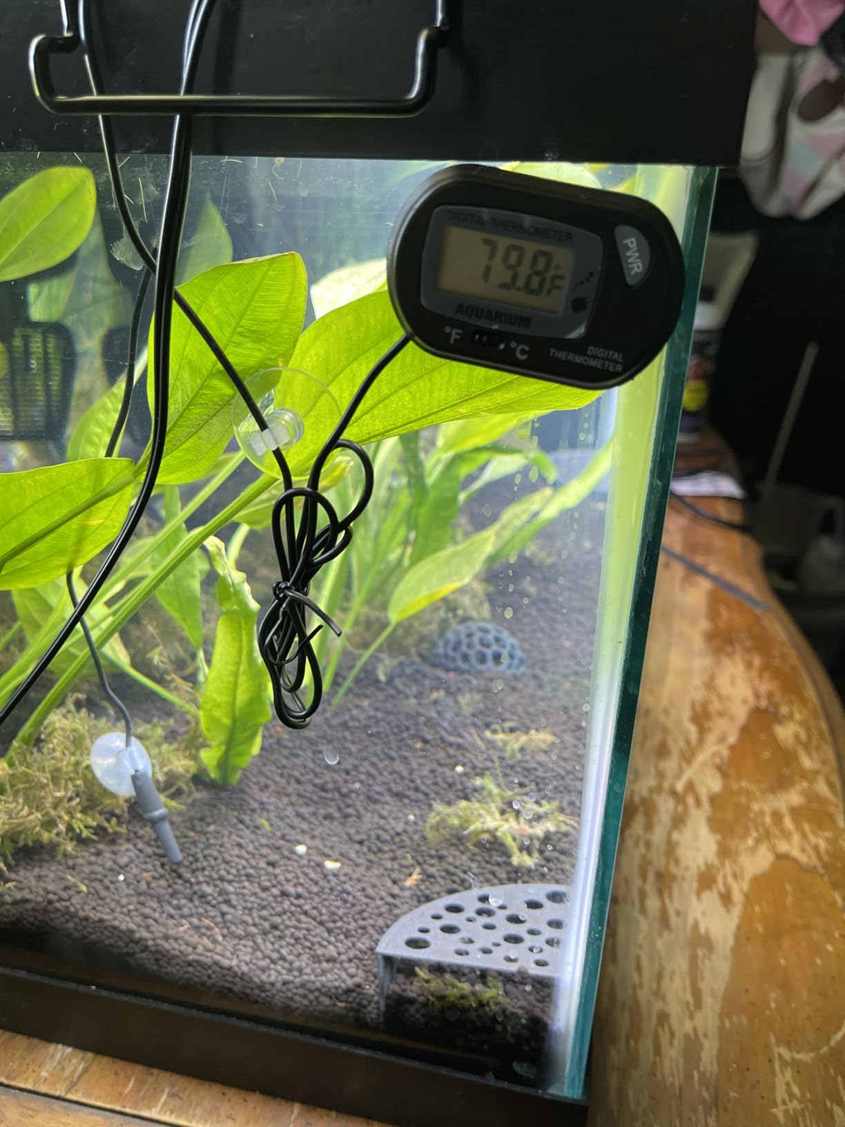 Orlushy Submersible Aquarium Heater, 500W Fish Tank Heater with Adjust Knob Thermostat 2 Suction Cups and Free Thermometer Suitable for Marine Saltwater and Freshwater (500W) customer photo 1