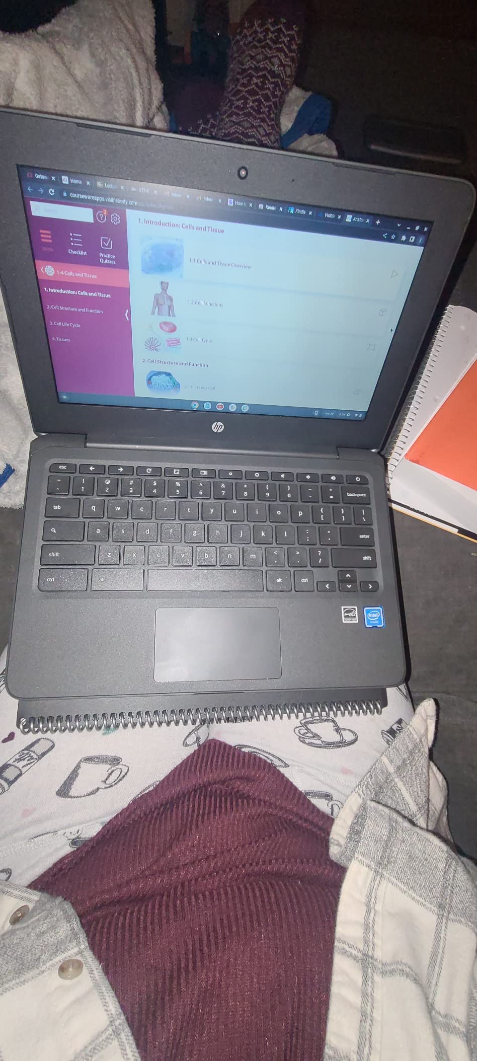HP Chromebook 11-inch Laptop - Up to 15 Hour Battery Life - MediaTek MT8183 - 4 GB RAM - 32 GB eMMC Storage - 11.6-inch HD Display - with Chrome OS - (11a-na0021nr, 2020 model, Snow White) customer photo 1