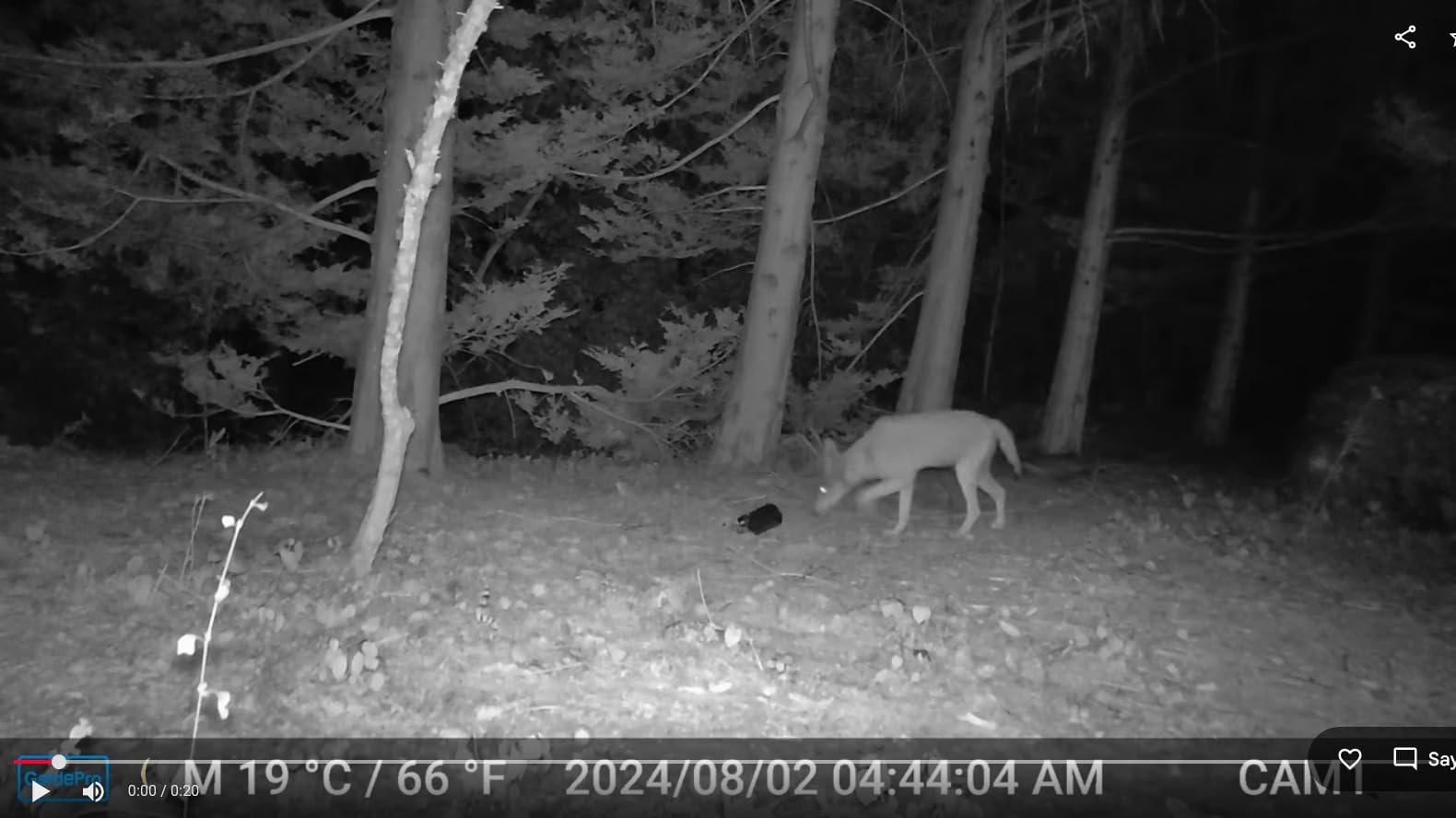 GardePro E6 WiFi Trail Camera, Stable WiFi with External Antenna | On-Site App Viewing, HD Video with Sound, No-Glow Night Vision, Motion Activated, Non-Cellular customer photo 2