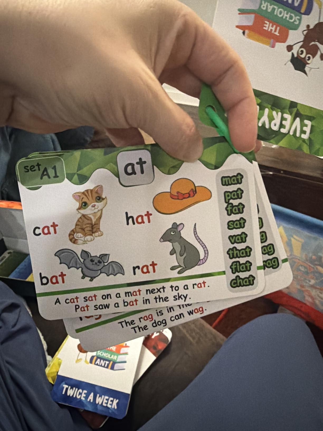 Phonics Flash Cards with Proven Spaced Repetition Learning System - Learn to Read in 20 Phonic Stages - Digraphs CVC Blends Long Vowel Sounds Phonics Games for Kids Ages 4-8 customer photo 1