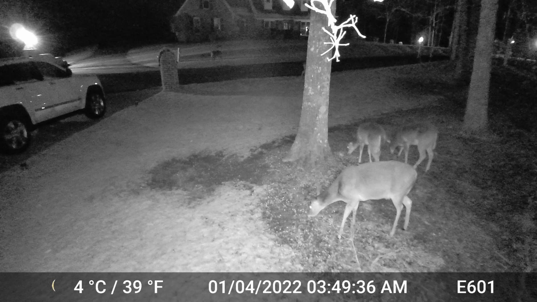 GardePro E6+ WiFi Bluetooth Trail Camera, Dual Antennas | Stable Connection, On-Site App Viewing, 110° Wide-Angle, No-Glow Night Vision, Motion Activated, Non-Cellular customer photo 2