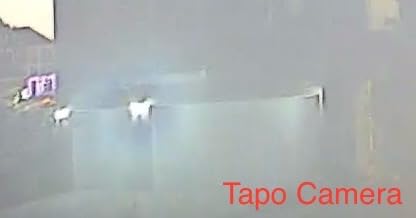 Tapo ColorPro Wi-Fi Outdoor Camera, PoE, Plug-in, Daylight Clarity at Night, 2K QHD, Person/Pet/Vehicle Detection, Local/Cloud Storage, 127° FOV, Built-in Siren C325WB customer photo 1