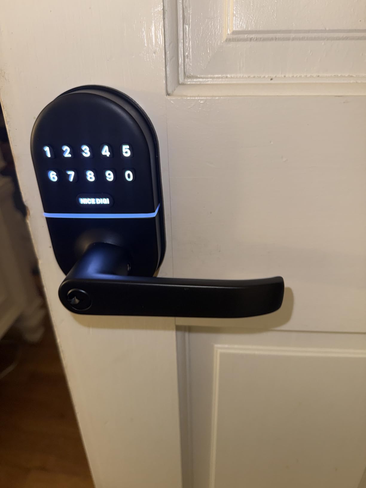Keypad Door Lock with Handle, Smart Keyless Entry with Code for Front Door customer photo 1