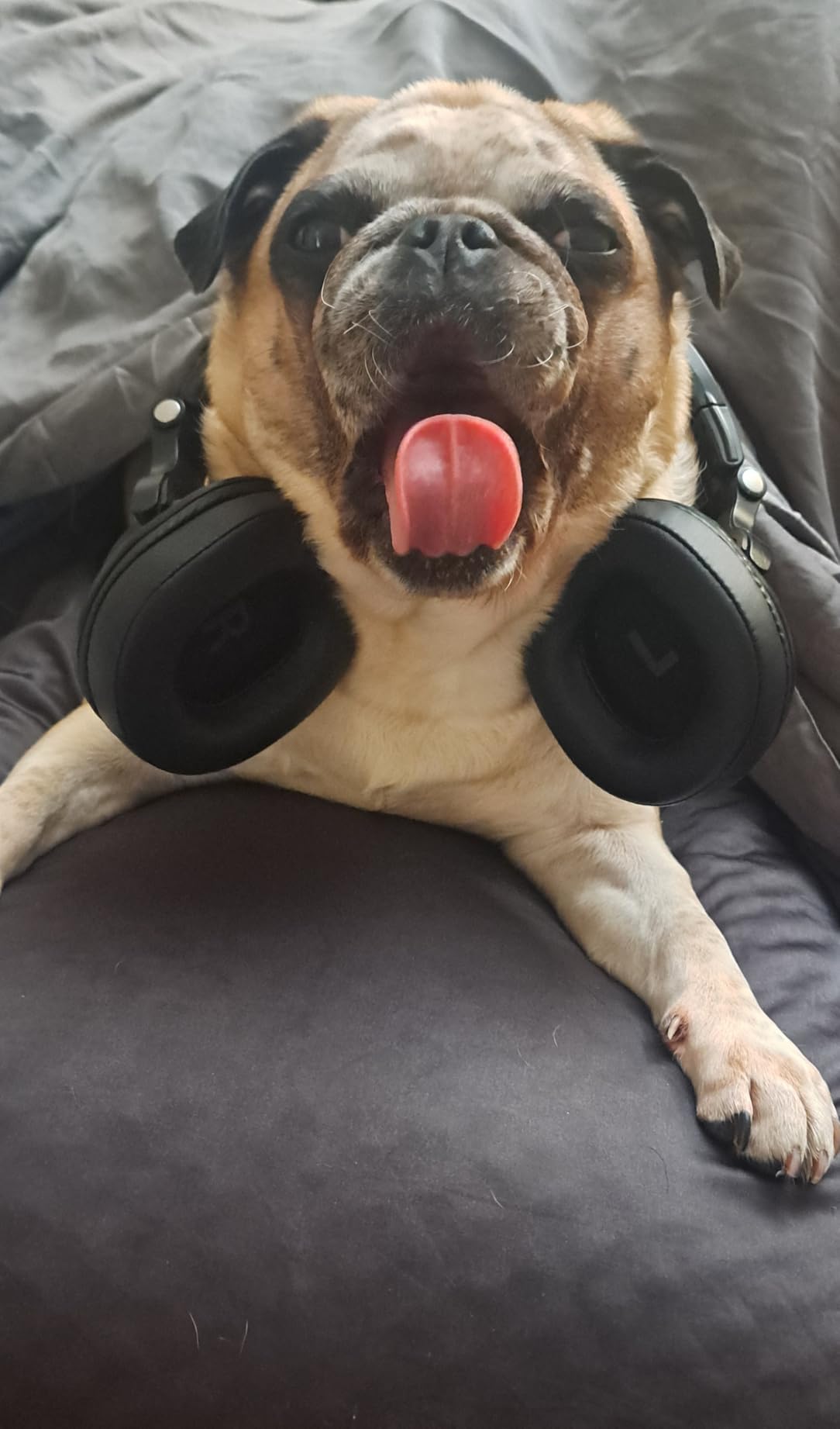OneOdio A70 Bluetooth Over-Ear Headphones, Hi-Res Wired DJ Studio customer photo 1