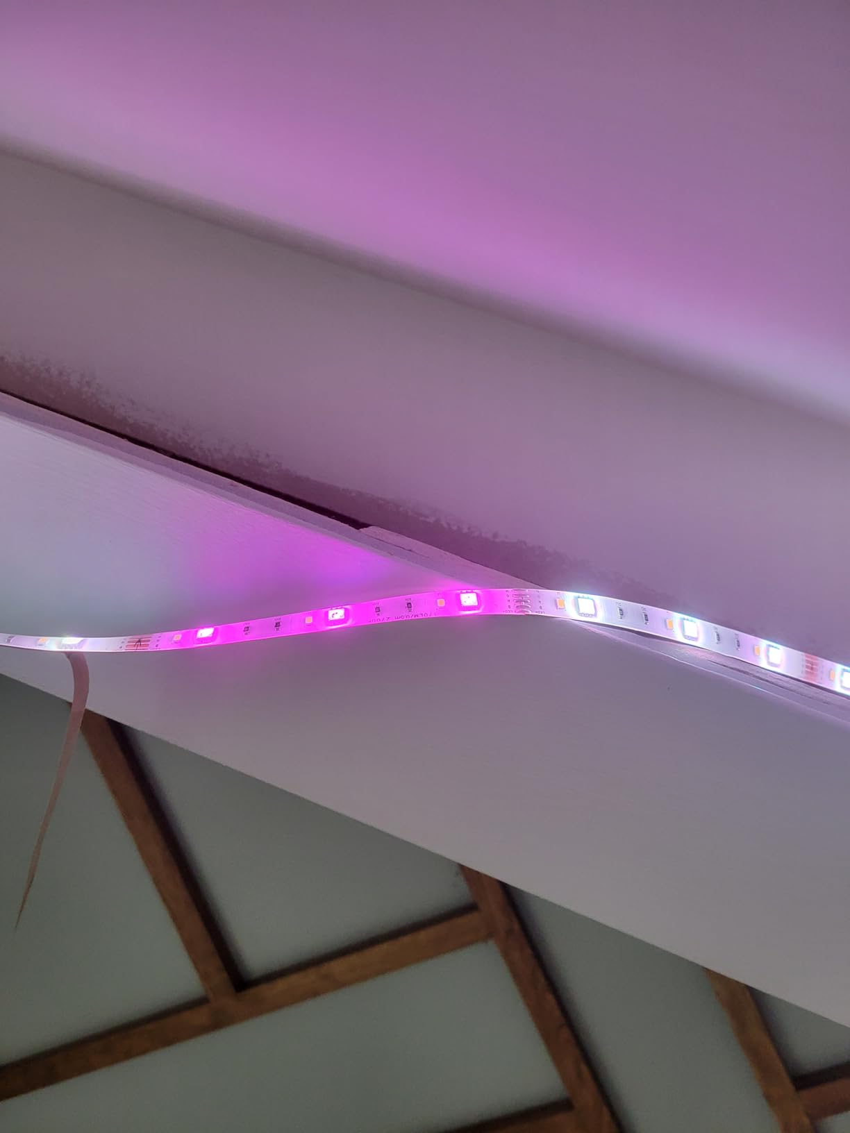 Amazon Basics Smart LED Light Strip, 32.8 Feet (2 Rolls of 16.4 Feet), RGB + Tunable White, Color Changing, App Control, Voice Control, Works with Alexa Only, 2.4 GHz Wi-Fi, No Hub Required customer photo 1