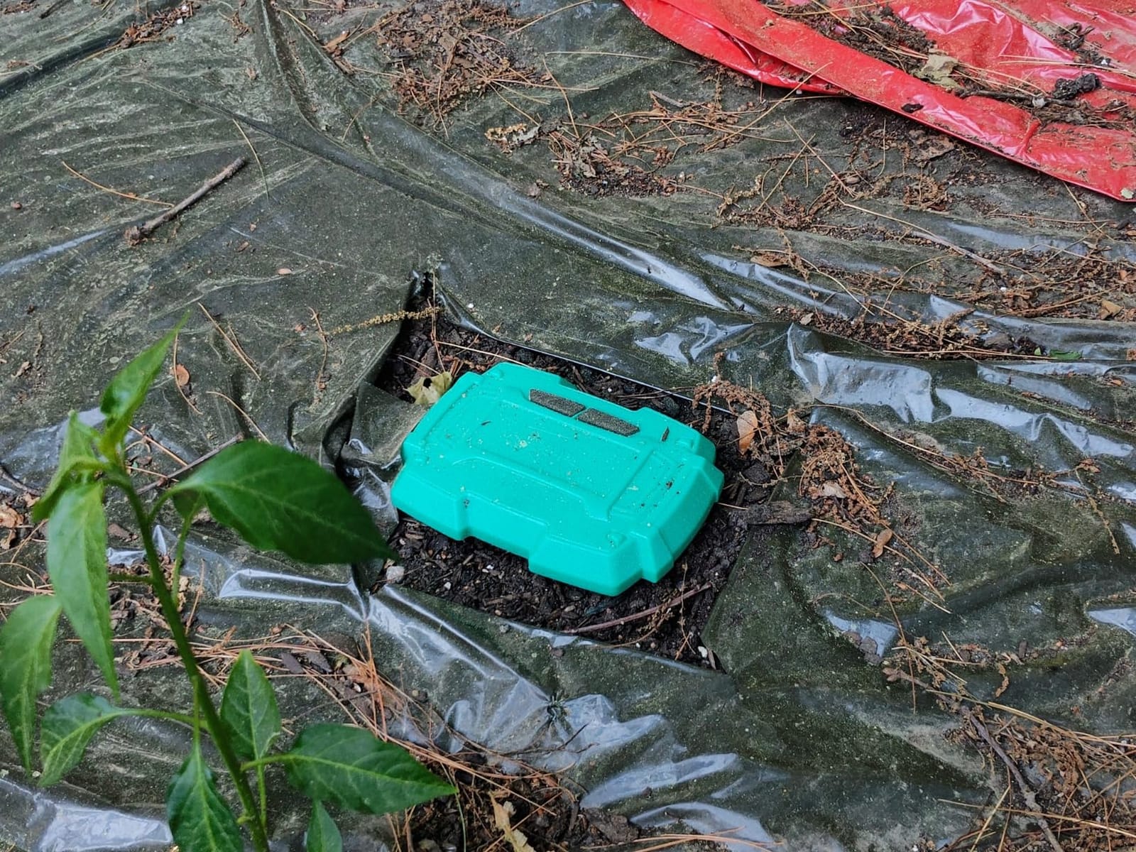 RAINPOINT WiFi Soil Moisture Sensor - Wireless Soil Moisture Sensor - Must be Used with TTV103WRF or TTV203WRF WiFi Sprinkler Timer and TWG004WRF WiFi Hub (Only Include Soil Tester) customer photo 2