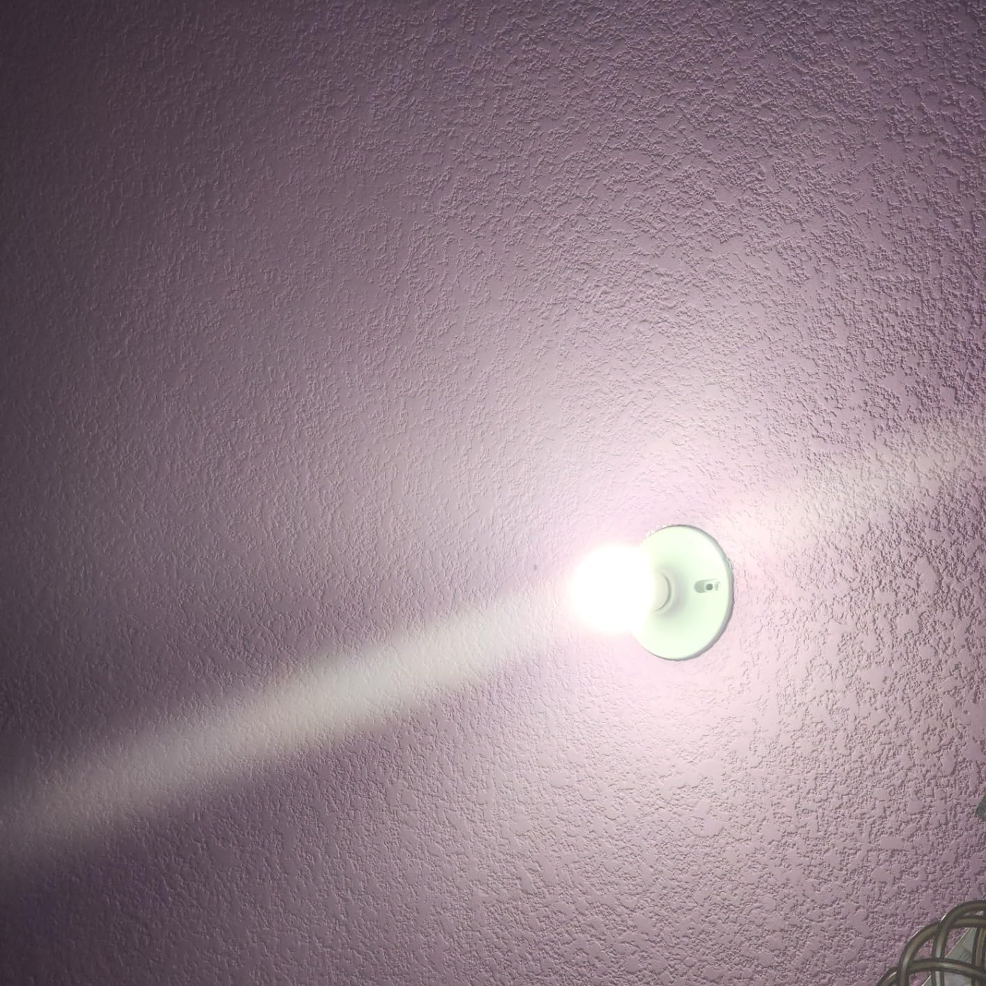 Tapo Multicolor Dimmable Smart Light Bulbs, L531E, A19 E26, 800LM customer photo 1