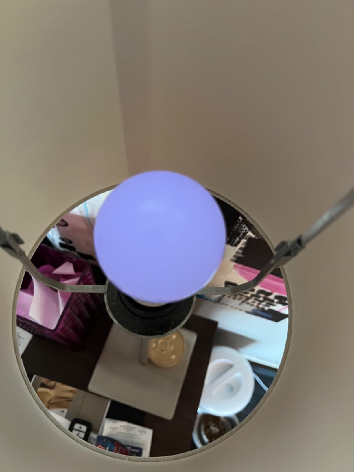 Tapo Multicolor Dimmable Smart Light Bulbs, L531E, A19 E26, 800LM customer photo 2