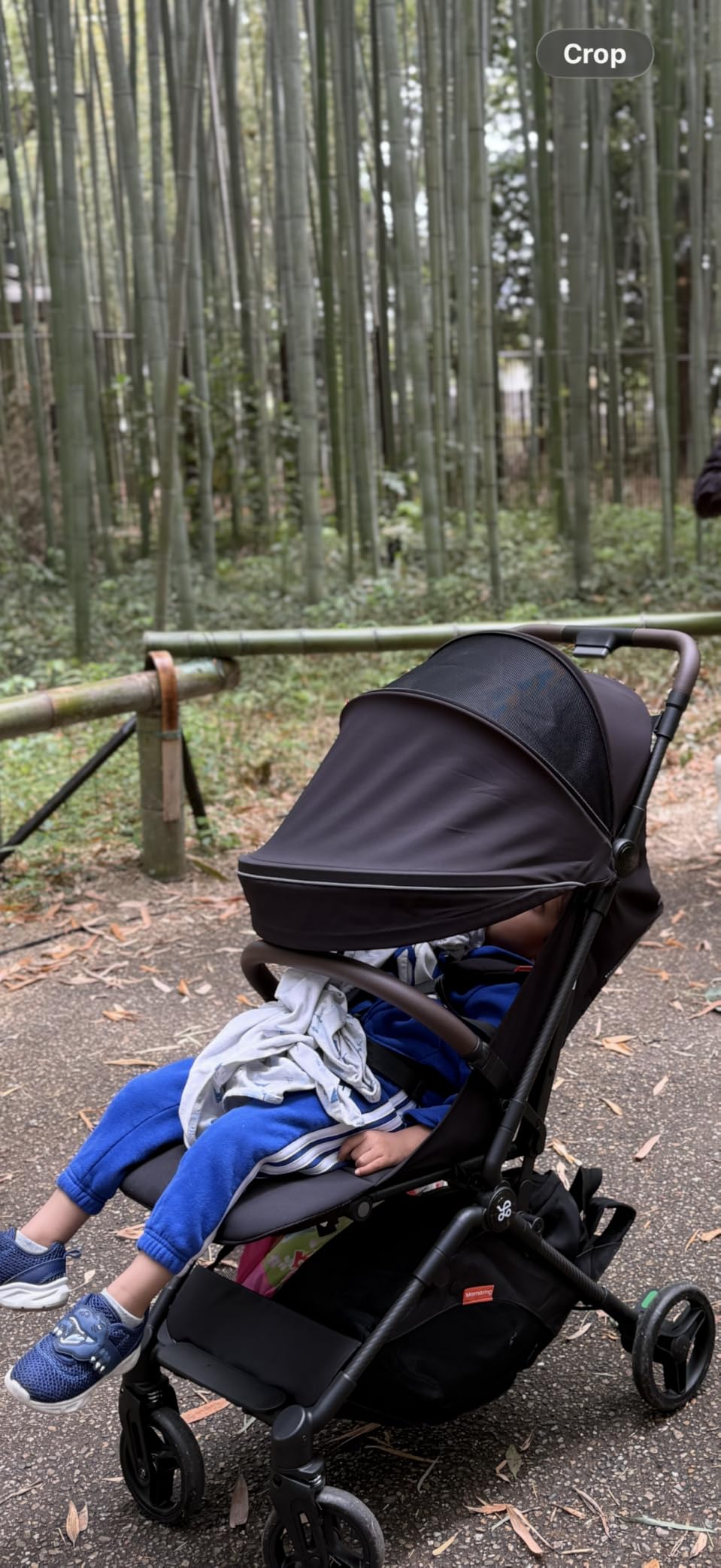 Mamazing Ultra Air Lightweight Baby Travel Stroller with Carbon Fiber Frame | Compact & Airplane-Friendly, One-Handed Fold, 11.6 lbs, UPF50+ Canopy, Under-Seat Basket, Perfect for Toddler Travel, Jet customer photo 2