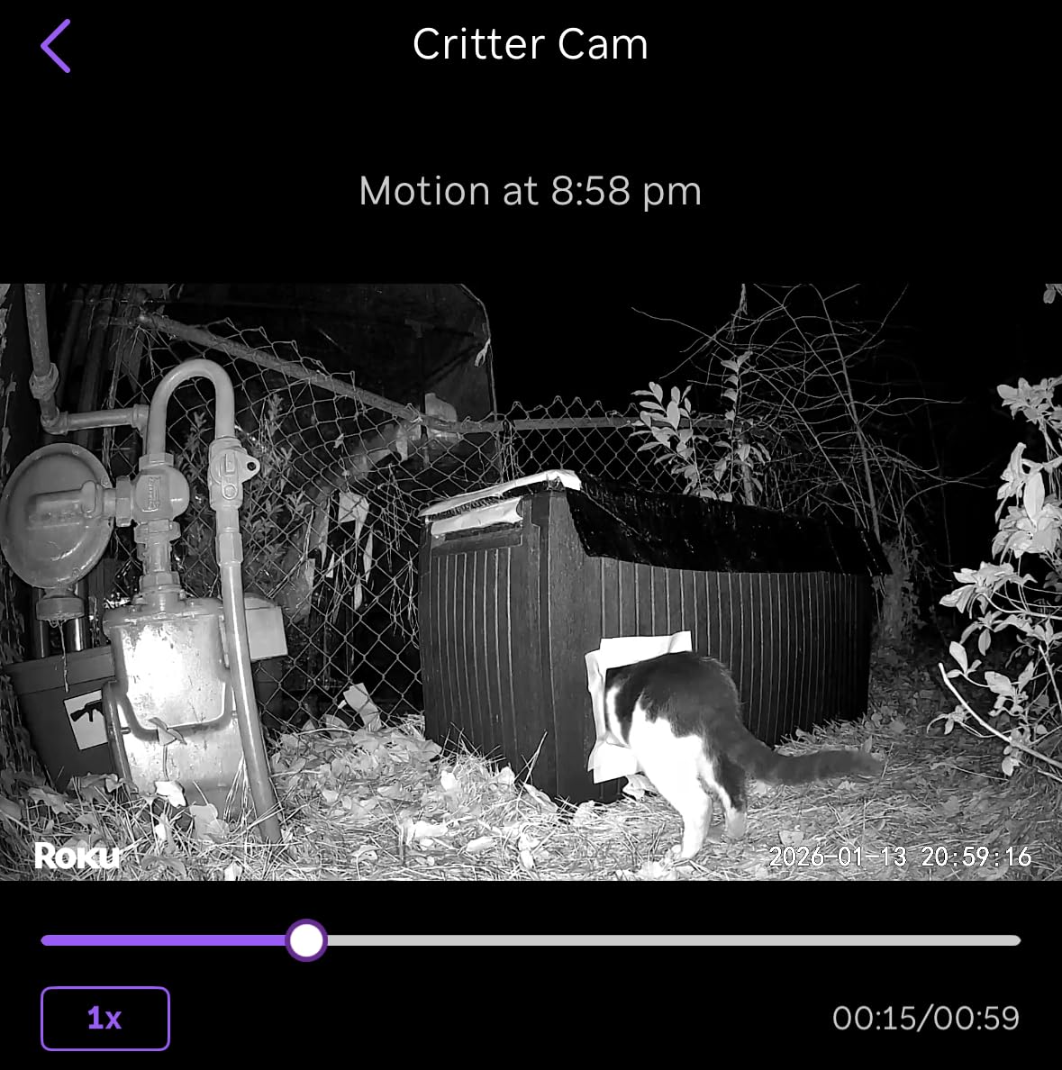 Roku Outdoor Camera for Home Security - IP65 Weather Resistance Wireless Security Camera with 1080p HD Night Vision, Works with Alexa & Google, Motion Detection - 90-Day Subscription Included, White customer photo 1