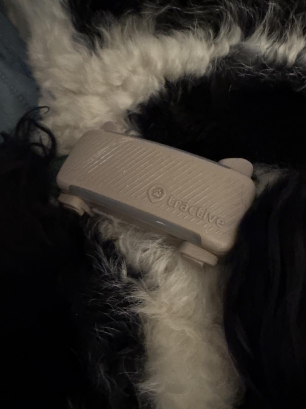 Tractive Smart Dog GPS Tracker | Live Pet Tracker with Virtual Fence | Vital Signs Monitoring of Heart & Respiratory Rate | Bark Monitoring | Dog Collar Attachment (Brown) customer photo 2