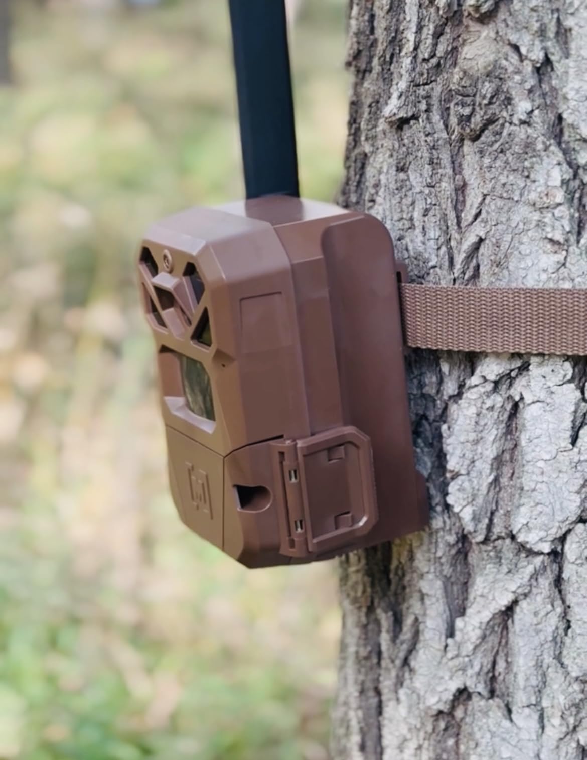 Moultrie Edge 2 Cellular Trail Camera | Scout from Anywhere, HD photos via Mobile app, 1080p video, multi-carrier, low-glow flash, 100ft detection customer photo 2