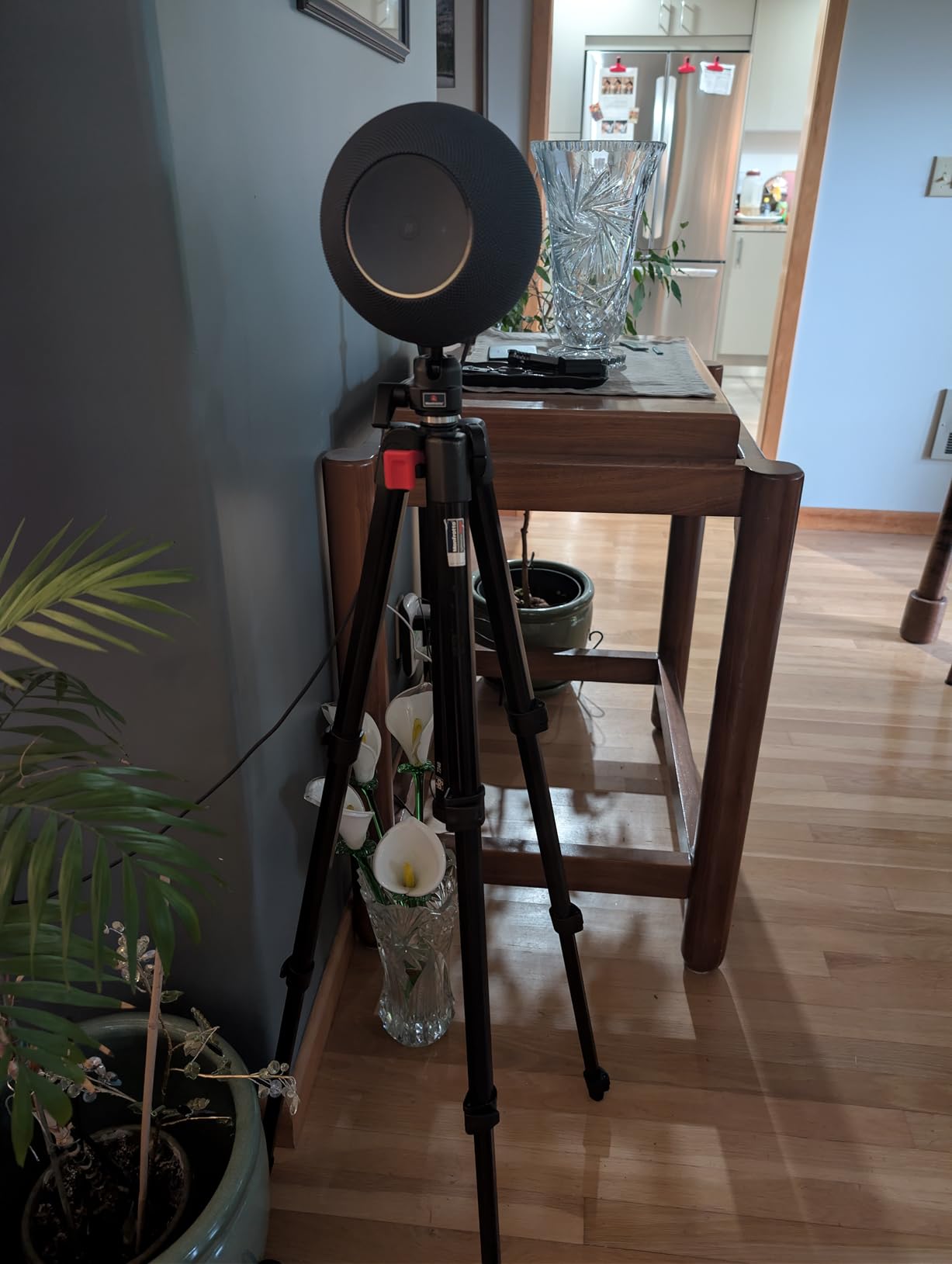 Amazon Echo Studio (newest model), Immersive spatial audio and Dolby Atmos, Designed for Alexa+, Glacier White customer photo 1
