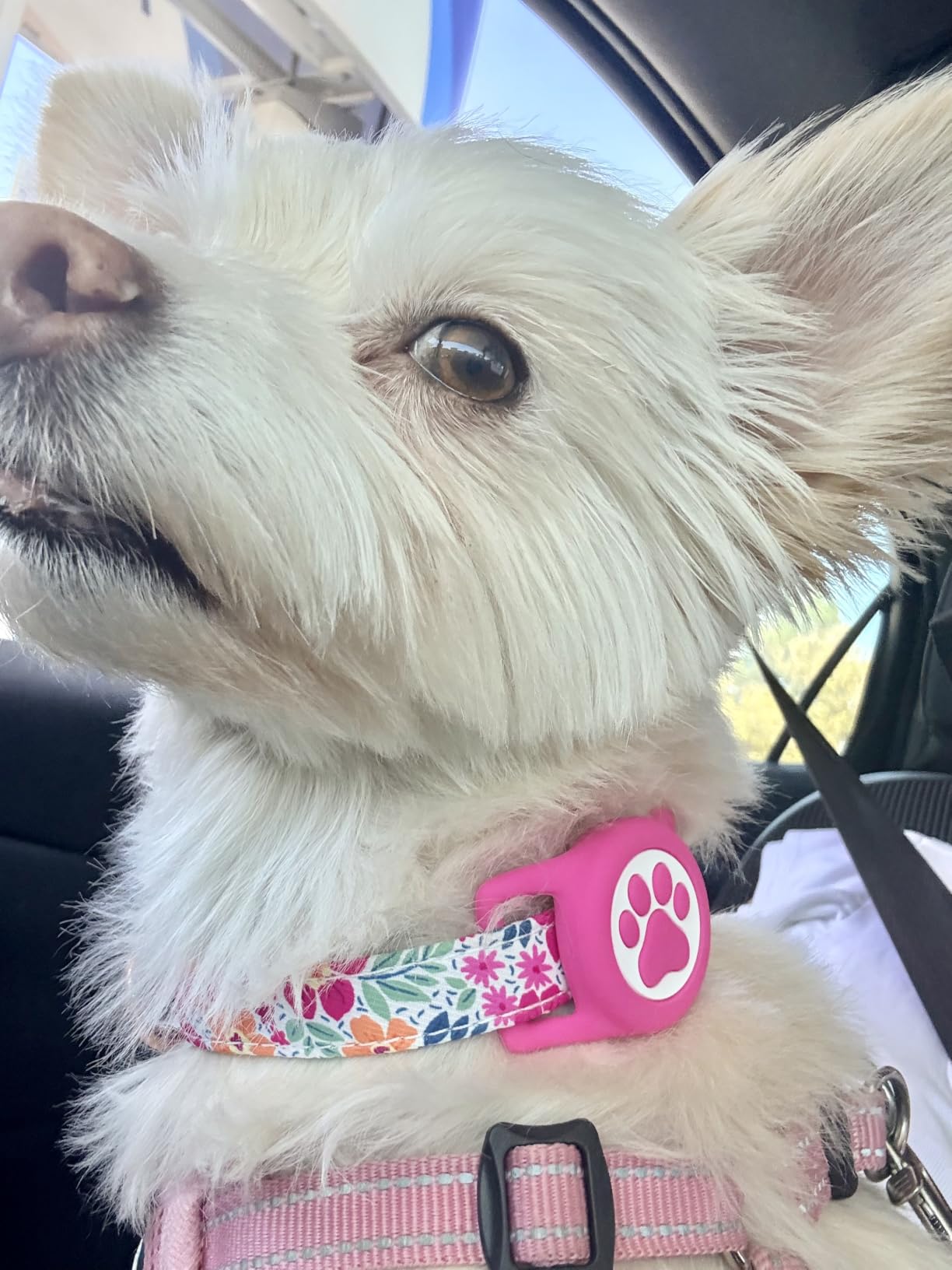 Premium Airtag Dog Collar, with IP68 Waterproof AirTag Holder, Pink, M | Soft, Breathable, Nylon Padded, Reflective, Ultra-Durable Buckle, Adjustable, Comfortable for Small Medium Large Dogs customer photo 2