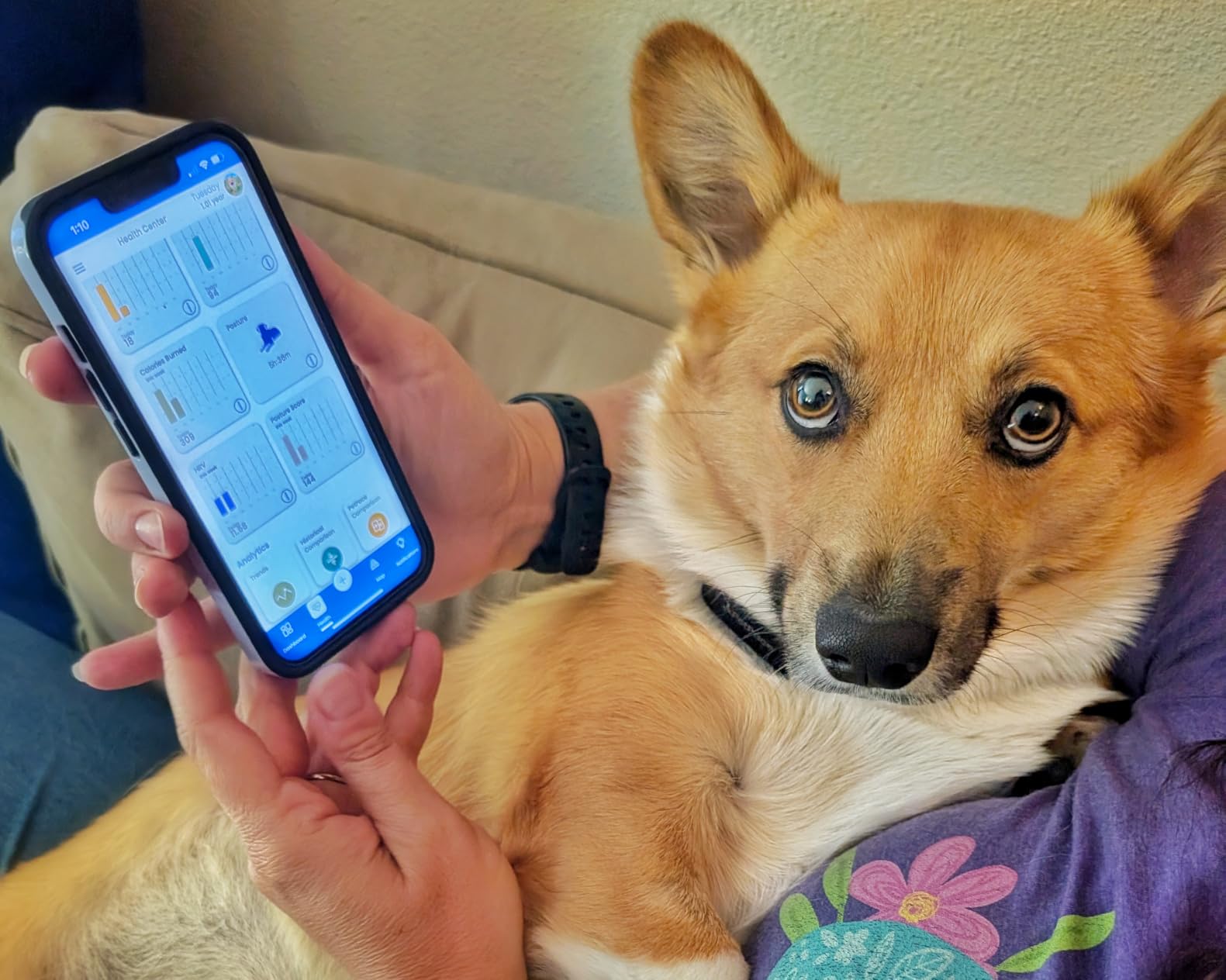 NEW Dog Health Monitor V3.0 by PetPace - AI Smart Collar with 24/7 Vital Signs, Pain & GPS Tracking, Telehealth AskaVet & Share With Your Vet, Smartwatch Sync - Subscription Required (Large) customer photo 2