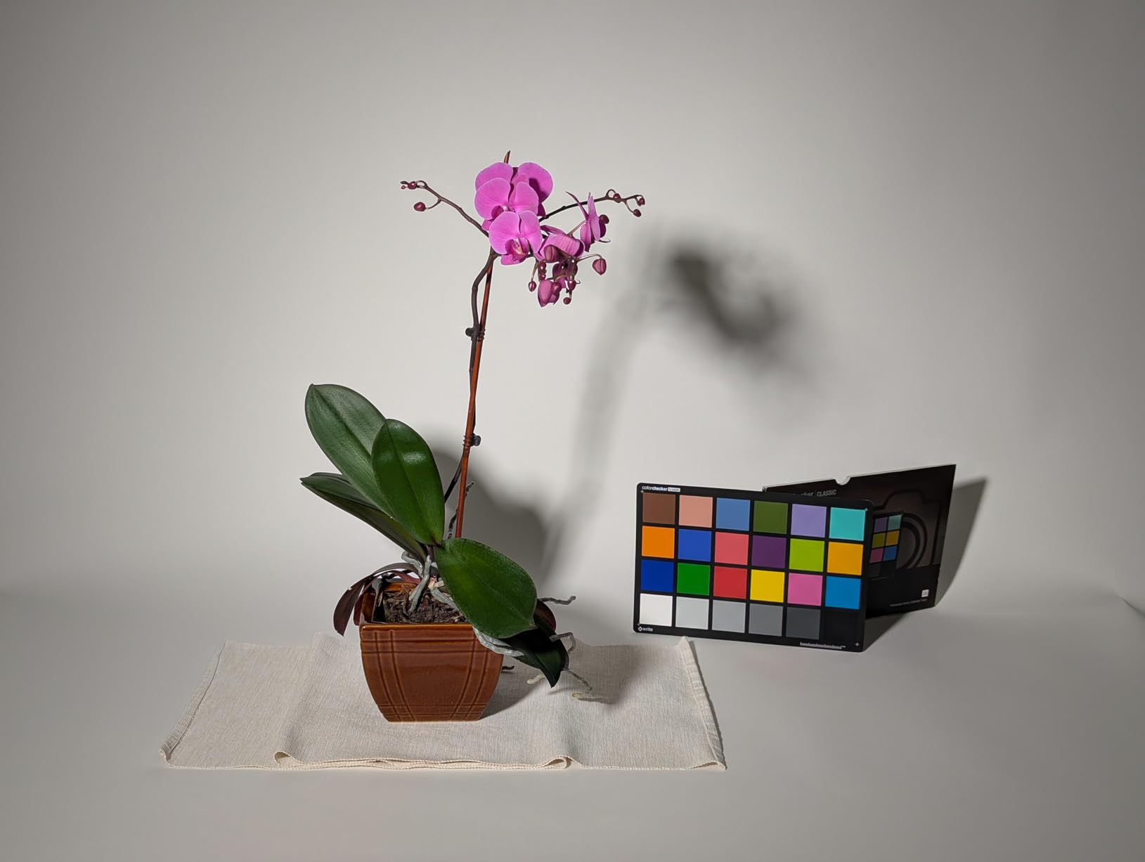 Godox Litemons LE300Bi COB Led Video Light Godox Bowens Mount 315W Bi-Color | Continuous Output Light with DMX/Bluetooth APP Control, NFC Connection, 2800K~6500K, 58900Lux@1m, CRI/TLCI98, 11 Fx Effects customer photo 1
