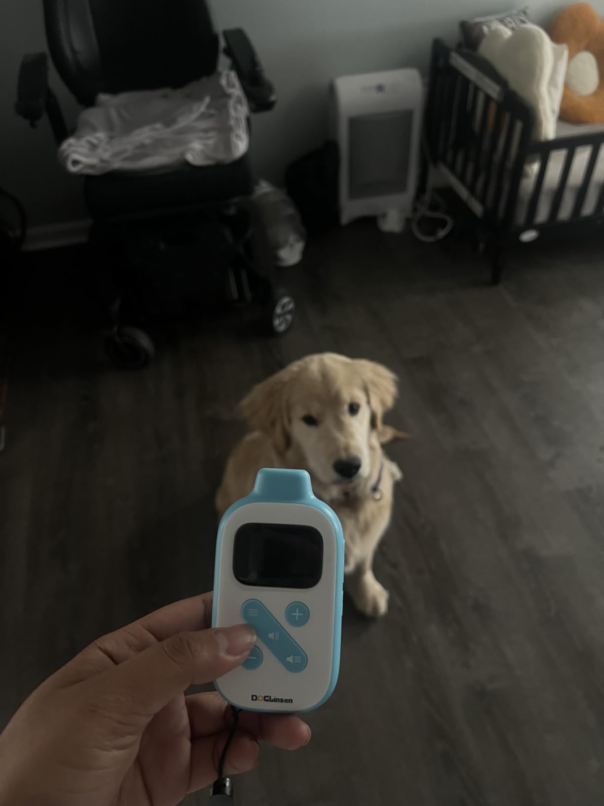 No Shock Dog Training Collar, Beep and Vibrating Dog Collar with Remote 2800Ft, Vibration Collar for Small Medium Large Dogs - No Prongs customer photo 2