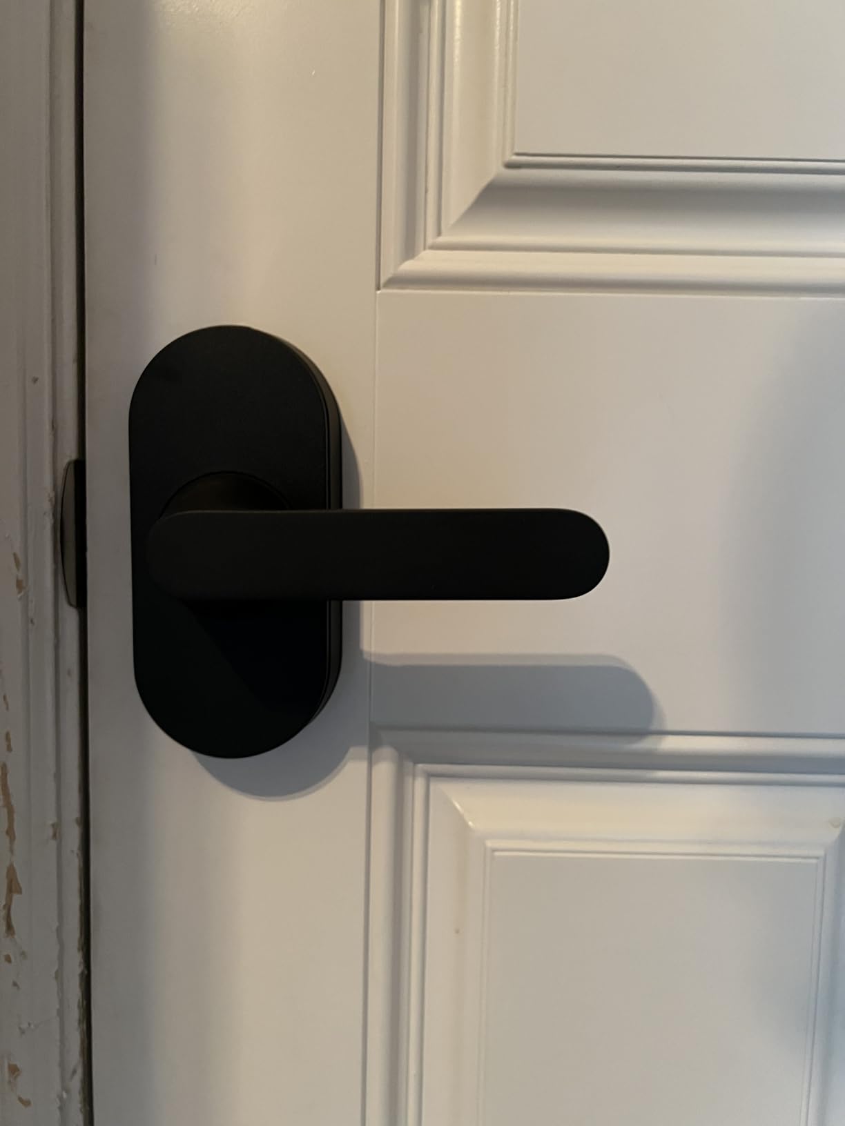 Aqara Smart Lock with Handle U300, Apple Home Key, Smart Lever Lock, Silver customer photo 1
