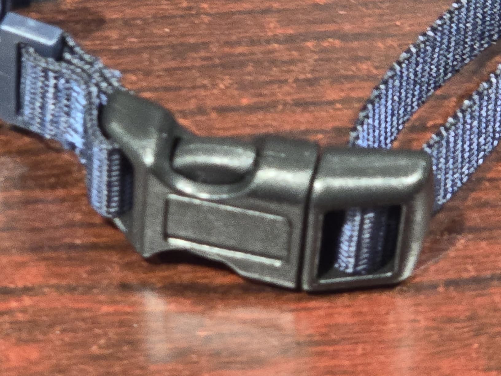 PetSafe NanoBark 2.0 Bark Collar for Small Dogs | 10 Static Levels, Responds Only To Your Dog's Bark, Up To 7-Day Battery, Rechargeable, Waterproof, Dogs 8 lb+, Neck 4-15 in customer photo 1