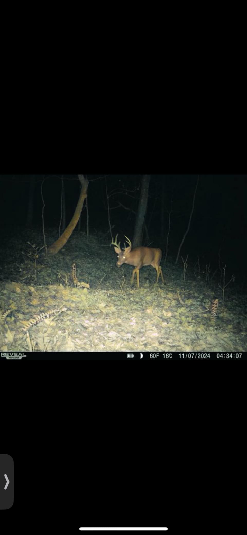 TACTACAM Reveal Pro 3.0 Cellular Trail Camera - Multi-Cellular Network, GPS, 2