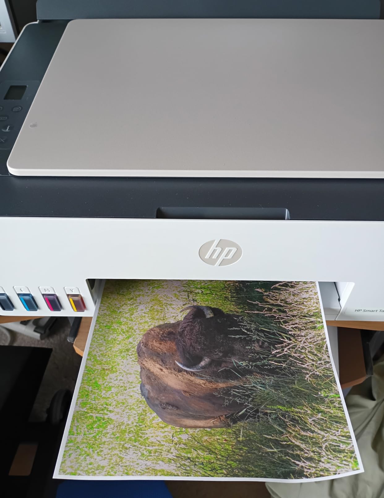 HP Smart Tank 5003 Wireless All-in-One Ink Tank Printer, Scanner, Copier with up to 3 Years of Ink Included, Best-for-Home, Cartridge-Free Refillable, AI-Capable (9B2D3A) customer photo 1