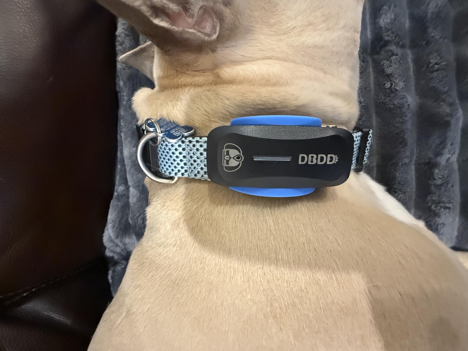 DBDD GPS Dog Tracker with Subscription,Virtual Fence&Health Monitor,IP67,BK customer photo 1
