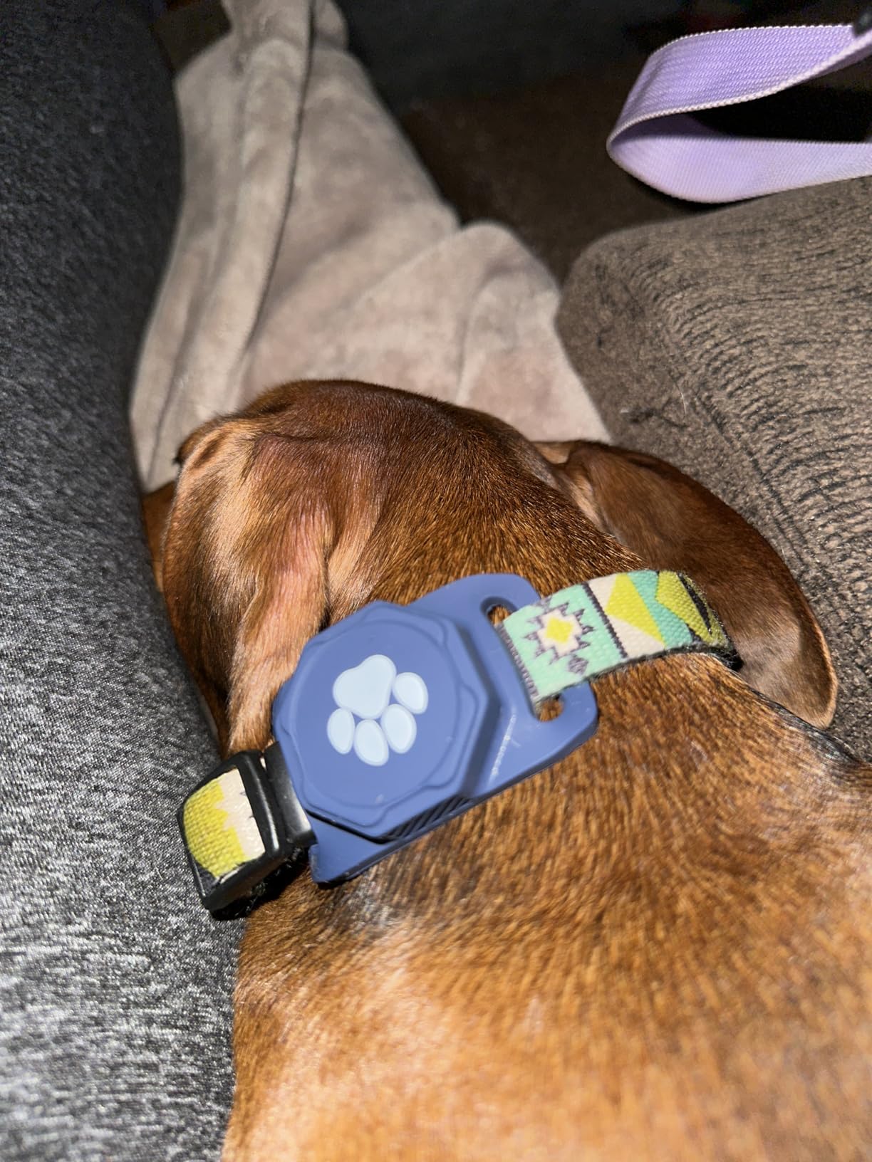Smart Pet Tracker for Collar - Dog Tracker Pet Location Tracker with Holder customer photo 1