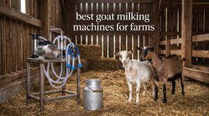 best goat milking machines for farms