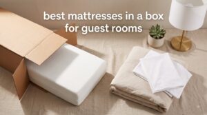 best mattresses in a box for guest rooms
